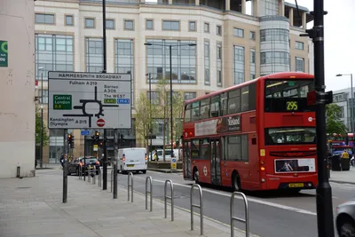 DSC_2475 (Large).JPG